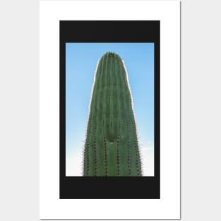 Saguaro Posters and Art